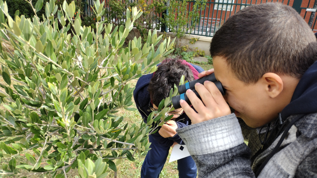 homme qui regarde des plantes grâce à des jumelles